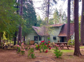 Groovy Cabin in the Woods